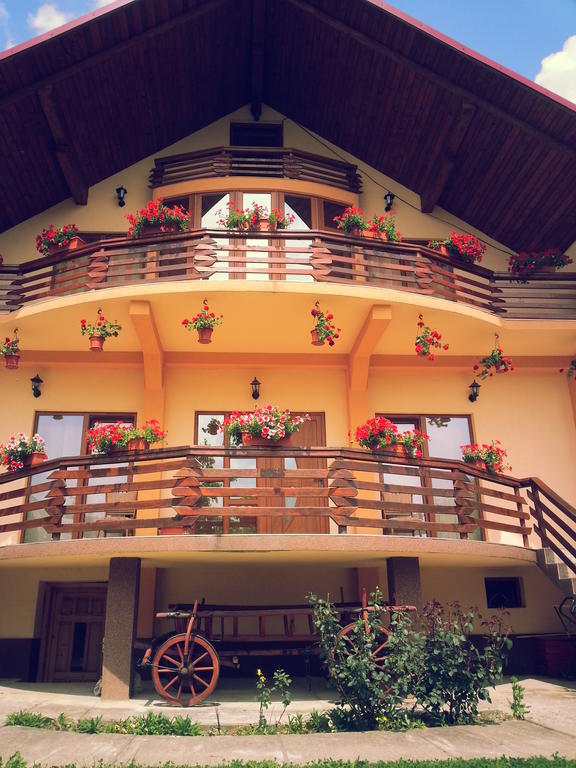 Pensiunea Maramures Ocna Şugatag Exterior foto