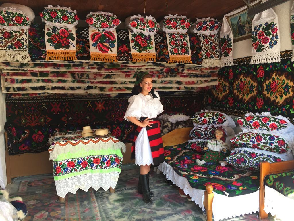 Pensiunea Maramures Ocna Şugatag Exterior foto